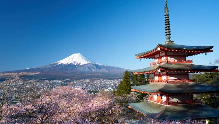 東京日帰り観光（富士山コース）